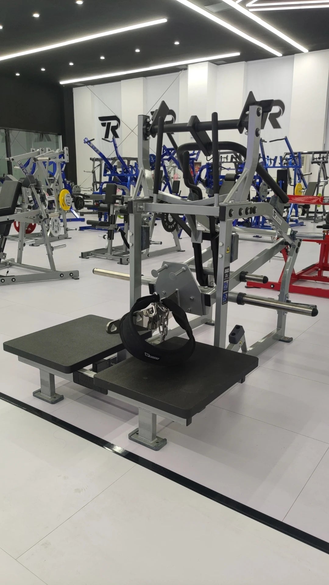 Full view of a belt squat and leg press platform station in a commercial gym interior